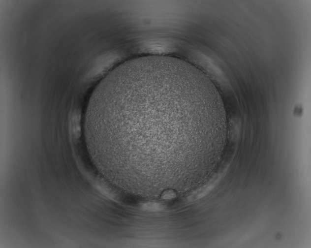 X0000101430358200807141247