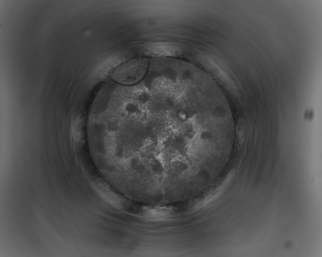 X0000101430359200807141247