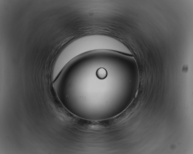 X0000101430360200807141247
