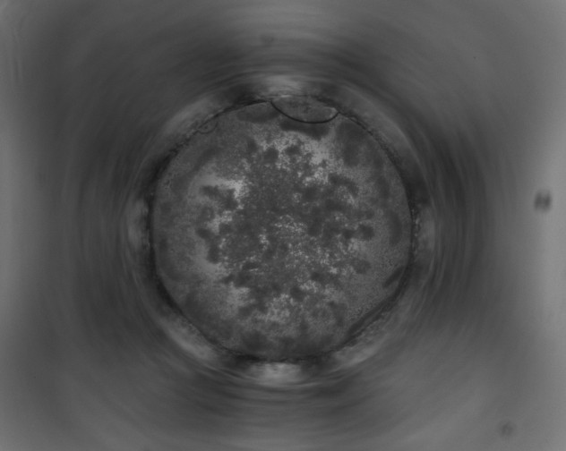 X0000101430361200807141247