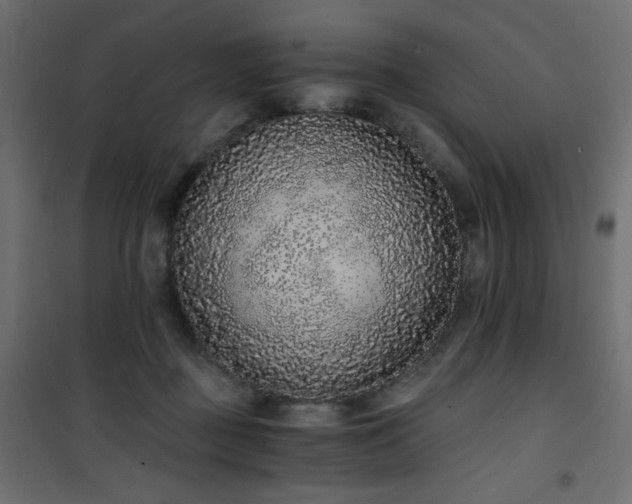X0000101430363200807141247