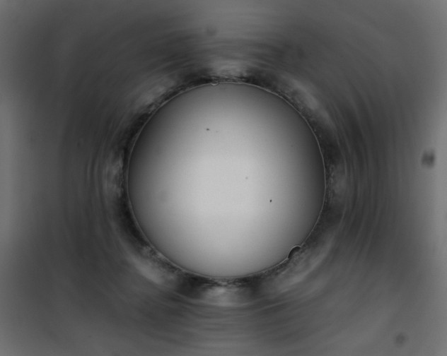 X0000101430364200807141247