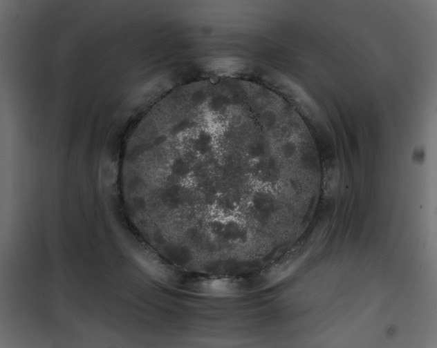 X0000101430365200807141247