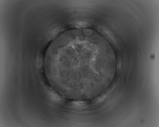 X0000101430367200807141247