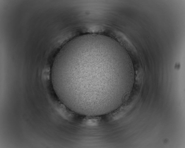 X0000101430368200807141247