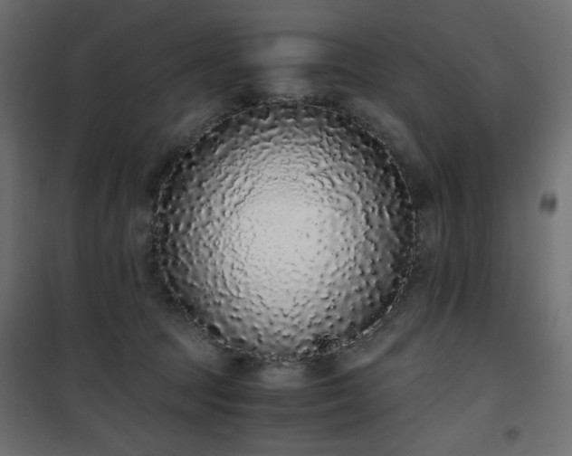 X0000101430369200807141247