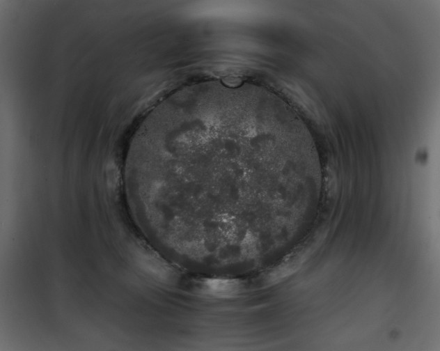 X0000101430371200807141247