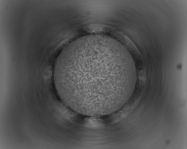 X0000101430372200807141247