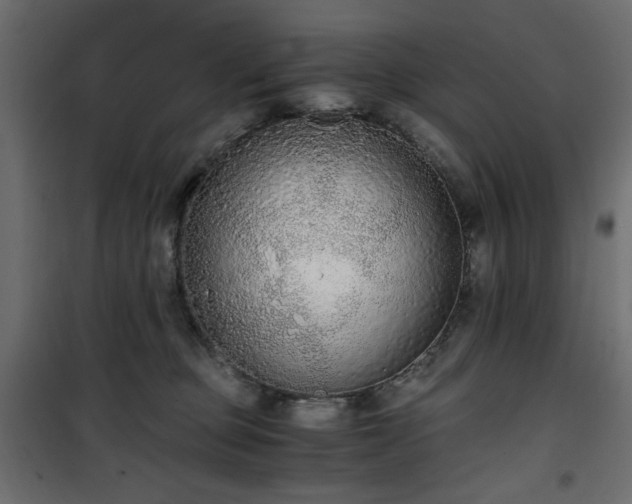 X0000101430373200807141247