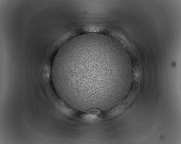 X0000101430374200807141247