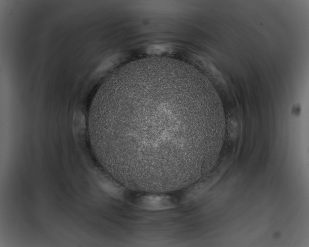 X0000101430375200807141247