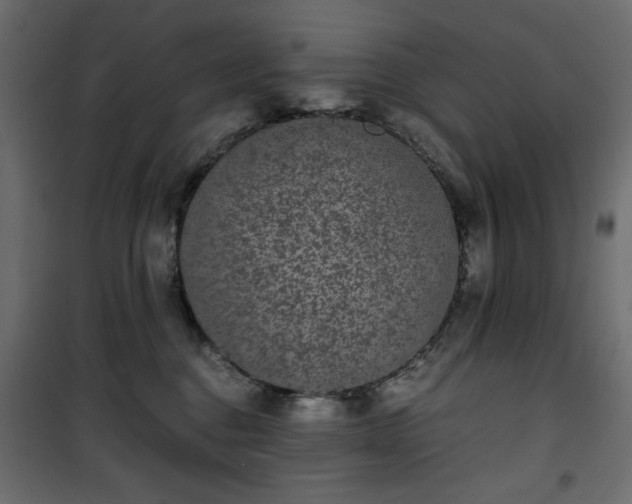 X0000101430376200807141247