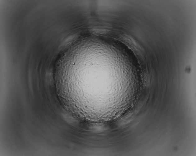 X0000101430377200807141247