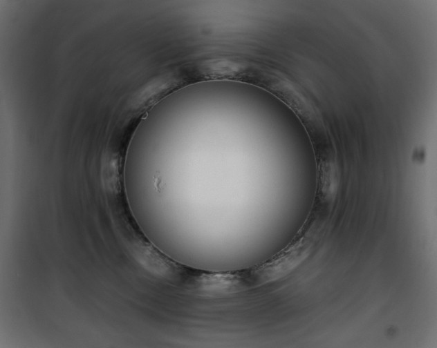 X0000101430378200807141247