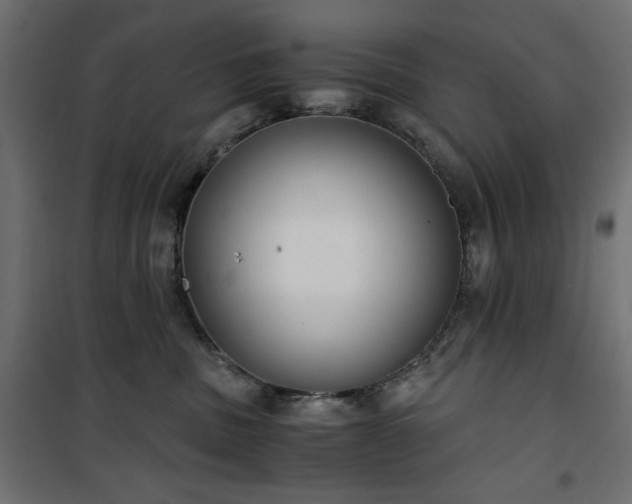 X0000101430379200807141247
