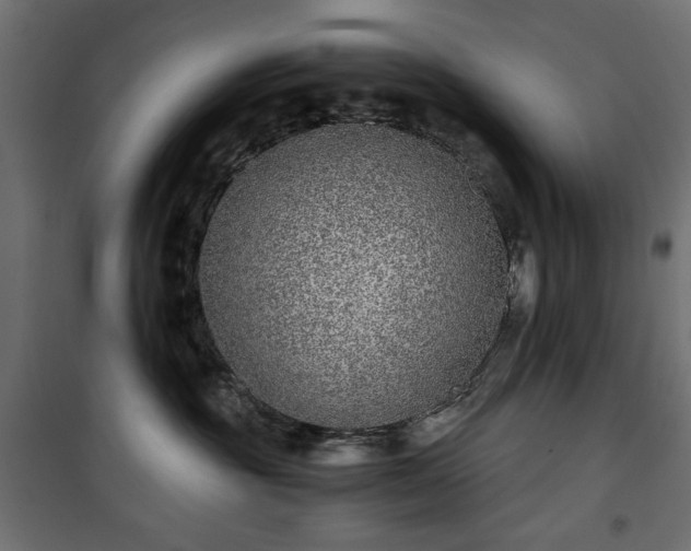 X0000101430381200807141247