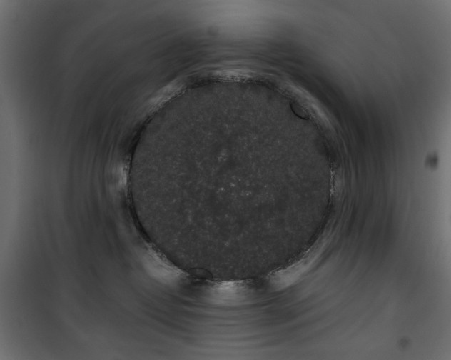 X0000101430382200807141247