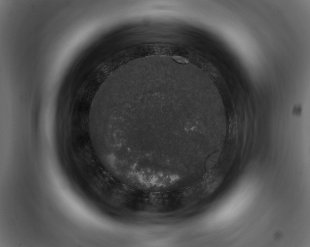 X0000101430383200807141247