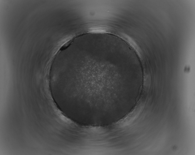 X0000101430385200807141247