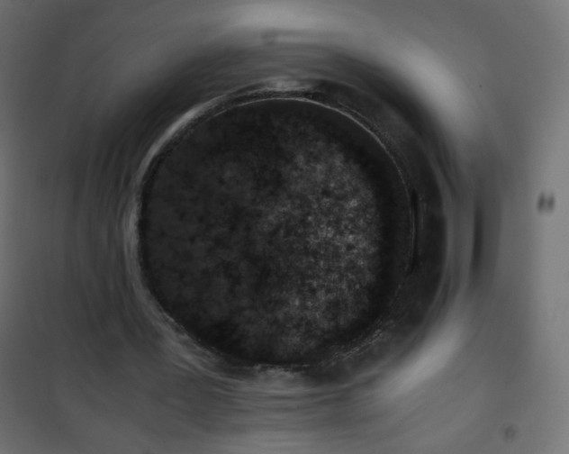 X0000101430387200807141247