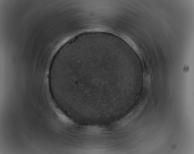 X0000101430389200807141247