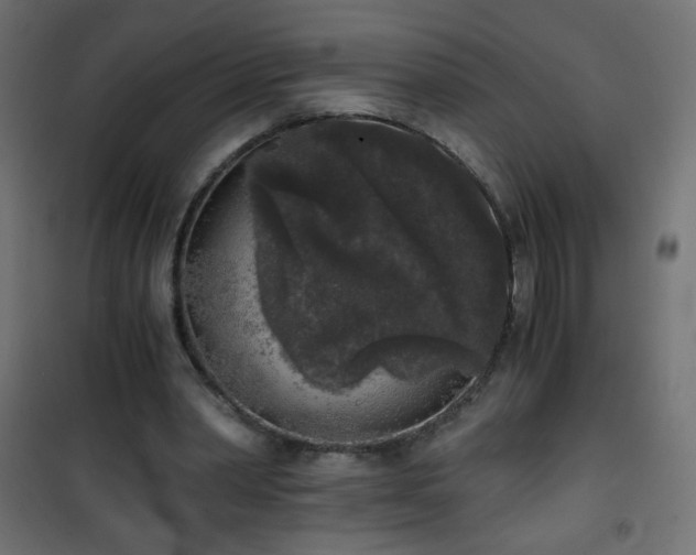 X0000101430390200807141247