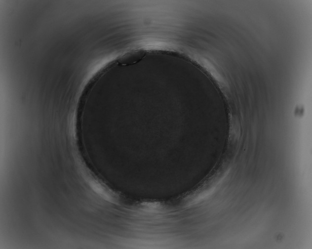 X0000101430391200807141247