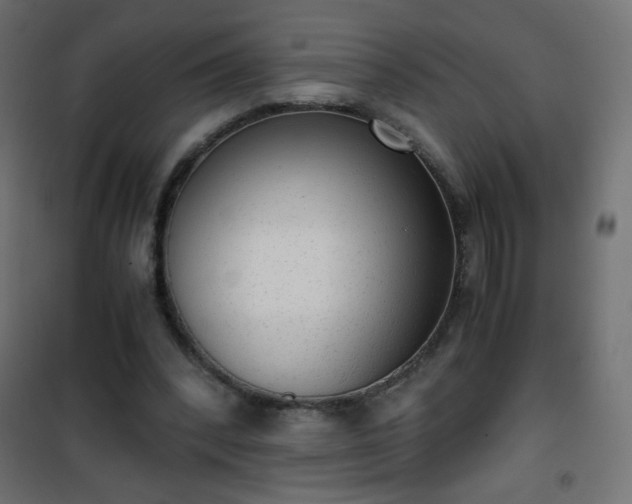 X0000101430392200807141247