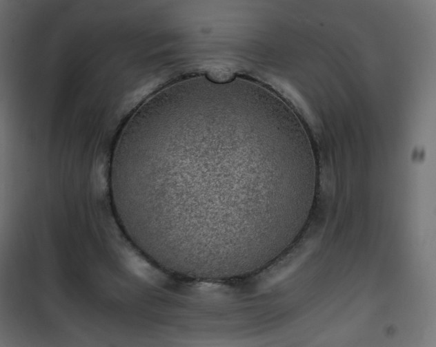 X0000101430393200807141247