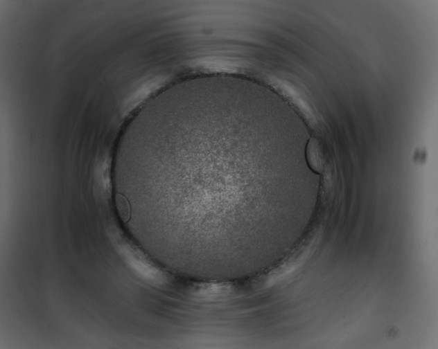 X0000101430398200807141246