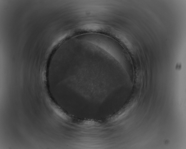 X0000101430399200807141246