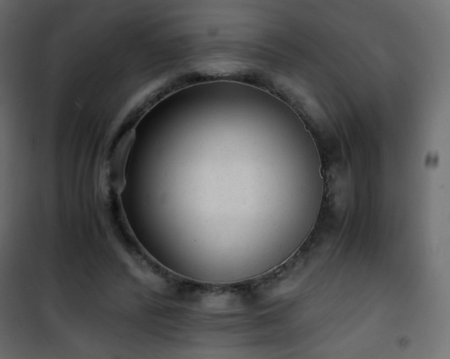 X0000101430400200807141246