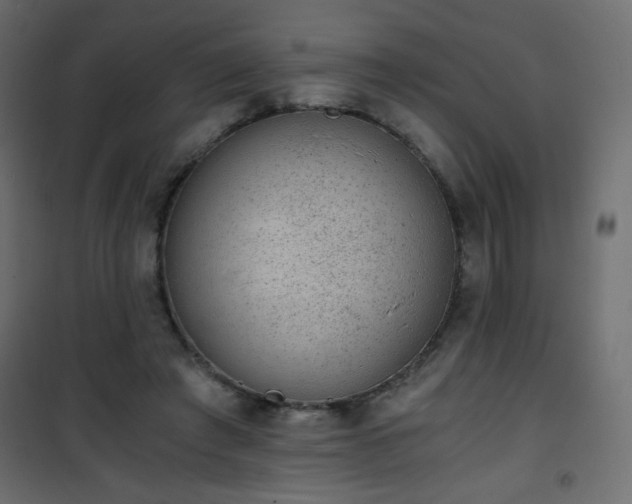 X0000101430401200807141246