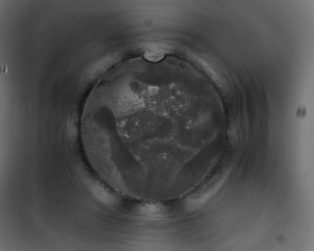 X0000101430402200807141246