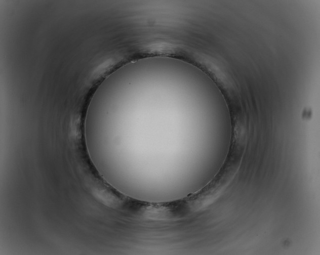 X0000101430403200807141246