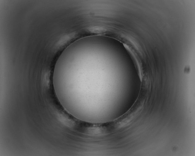 X0000101430404200807141246