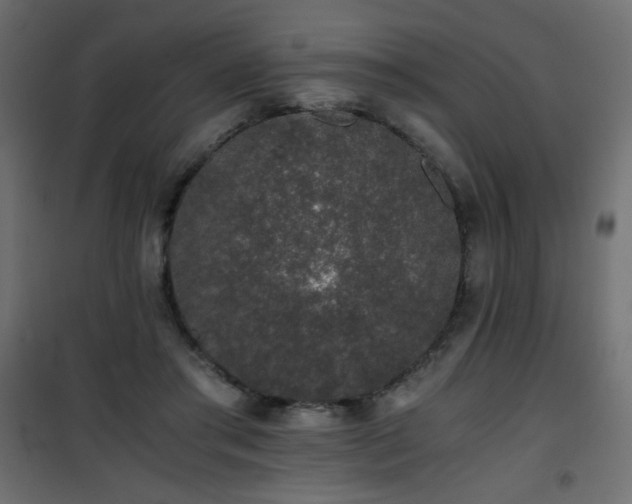 X0000101430405200807141246