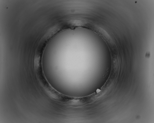 X0000101430406200807141246