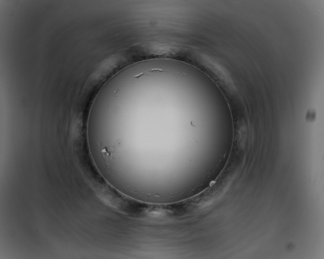 X0000101430407200807141246