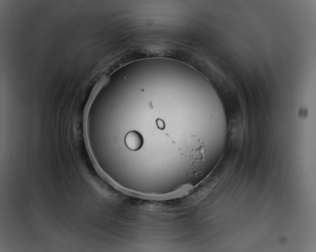 X0000101430408200807141246