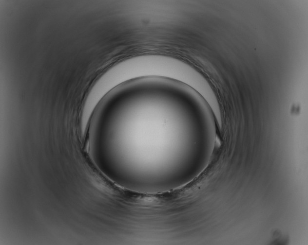 X0000101430409200807141246