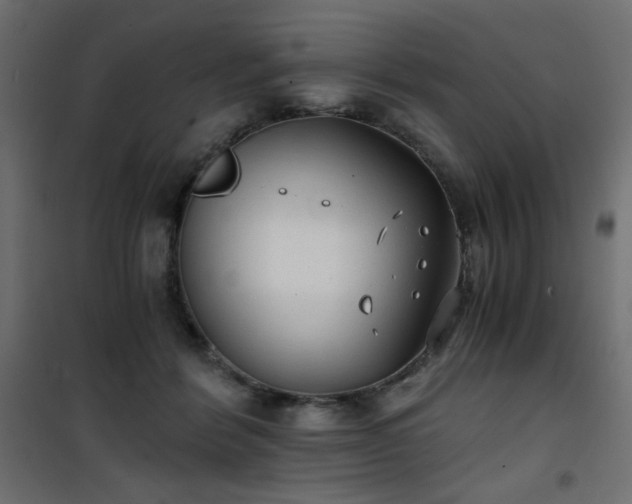 X0000101430412200807141246