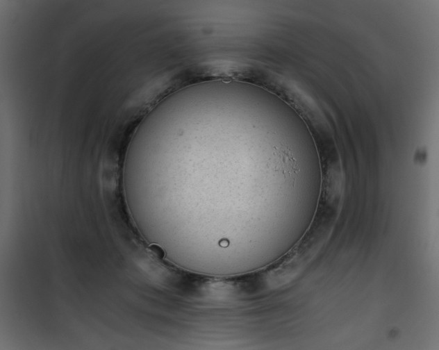 X0000101430413200807141246