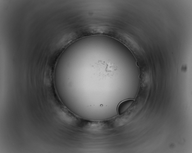 X0000101430414200807141246