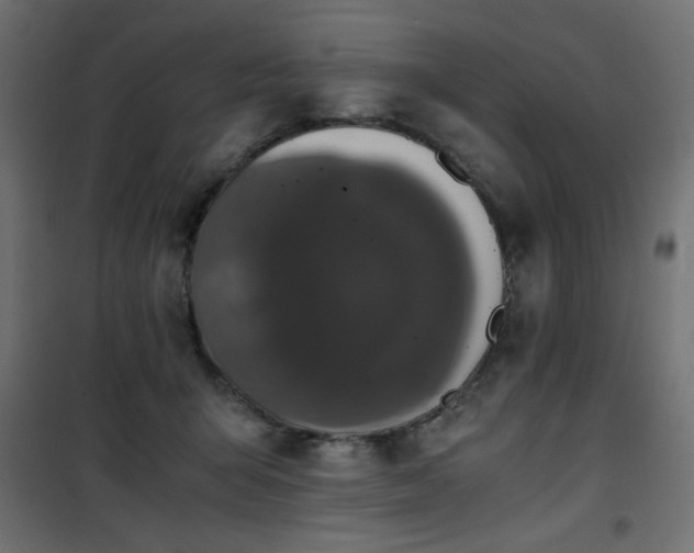 X0000101430415200807141246