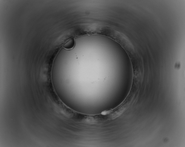 X0000101430416200807141246