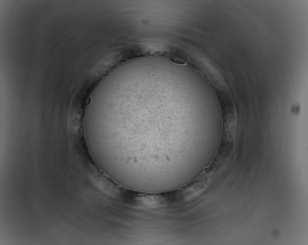 X0000101430417200807141246