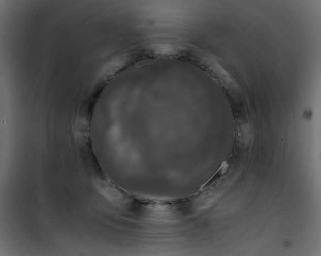 X0000101430419200807141246