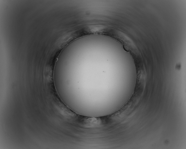 X0000101430421200807141246
