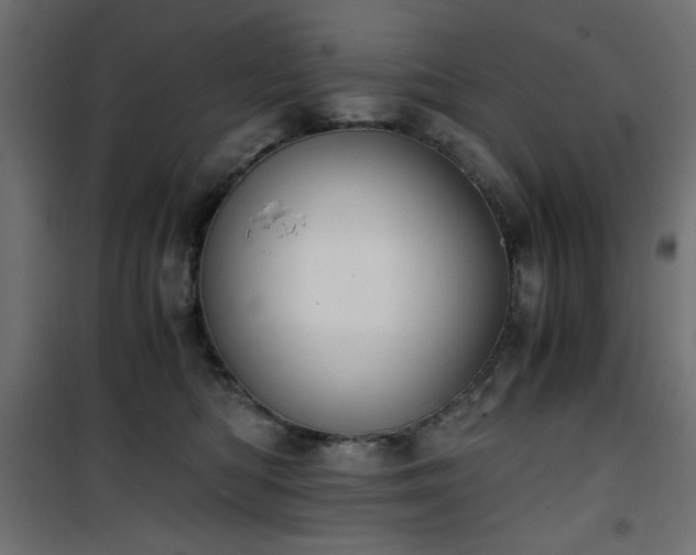 X0000101430422200807141246